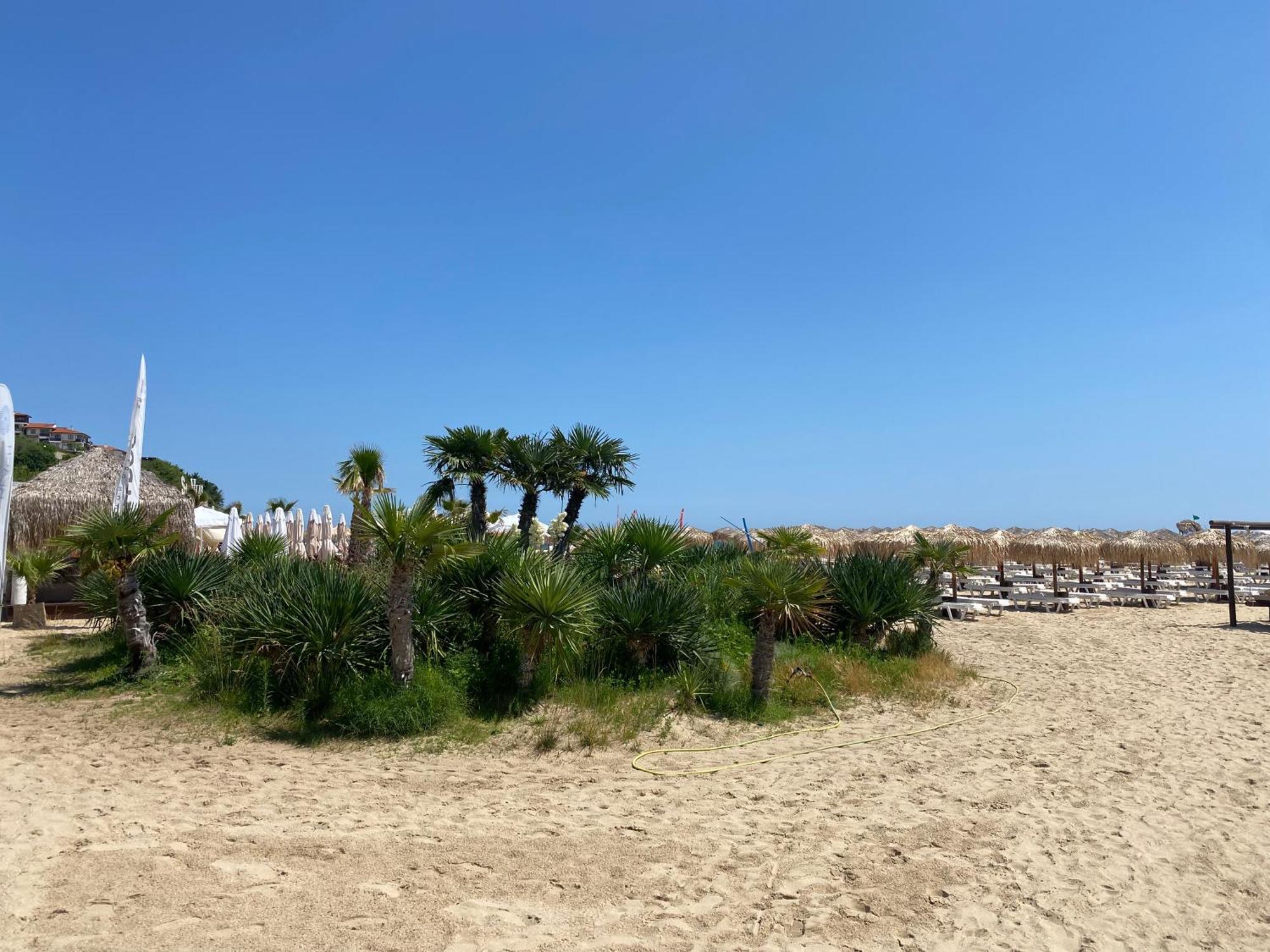 Horizon 10 'В' Apartment Sweti Wlas Exterior foto